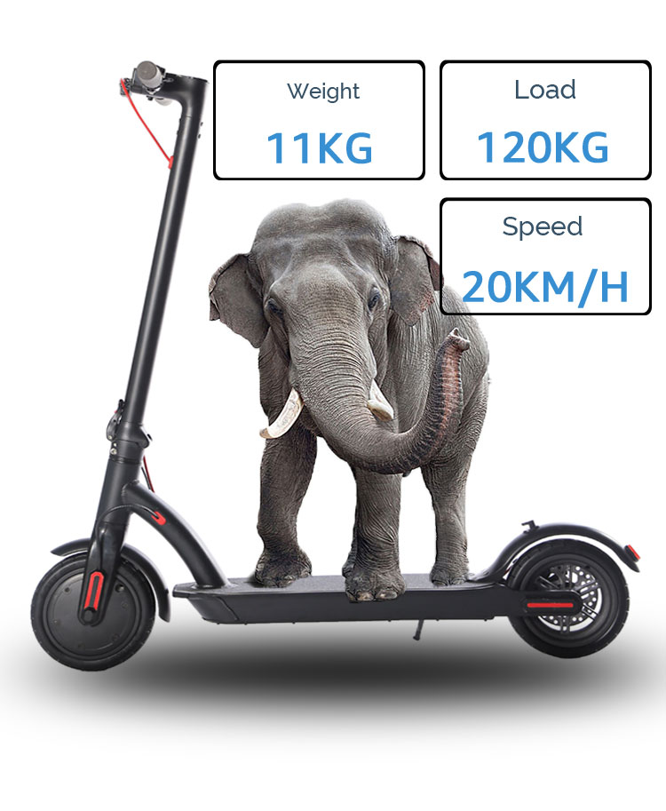 Adult Powerful Electric Scooter Led Display , Off Road Electric Scooter 30km/h