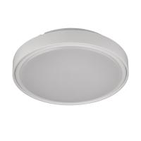 Buy cheap Changeable Warm White IP67 20W Circular Ceiling Light product