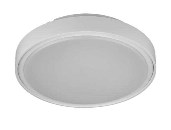 Buy cheap Changeable Warm White IP67 20W Circular Ceiling Light from wholesalers