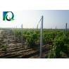 Buy cheap Metal Vine Plants Vineyard End Posts With C Type Provide Full Accessories from wholesalers