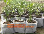 Potato Grow Biodegradable Garden Bags Vegetable Patio Container Pp Fabric Leaf