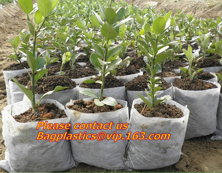Transparent / Black / Silver / White color Plastic PE LDPE Agriculture Mulching Film,panda strawberry mulch film/black w
