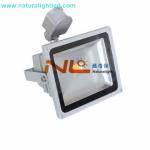 3000-3300lm PIR floodlight
