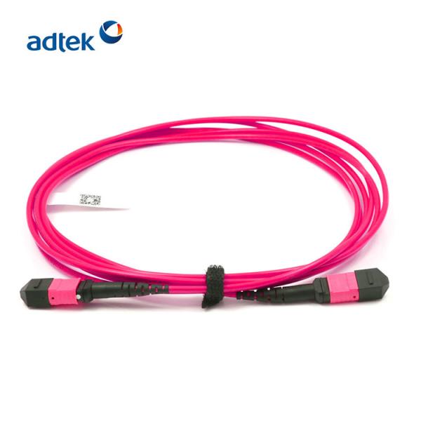 Buy cheap Violet MPO MTP Patch Cord PVC / LSZH Jacket 12 Core OM4 Fibre Optic Cable from wholesalers