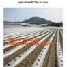Buy cheap HOTICULTURAL MULCH FILM,AGRICULTURAL PE FILM,MARKET GARDENERS CLOCHE FILM,PE FILM FOR CORN,PLASTIC FILM COVER,TOMATO COV from wholesalers