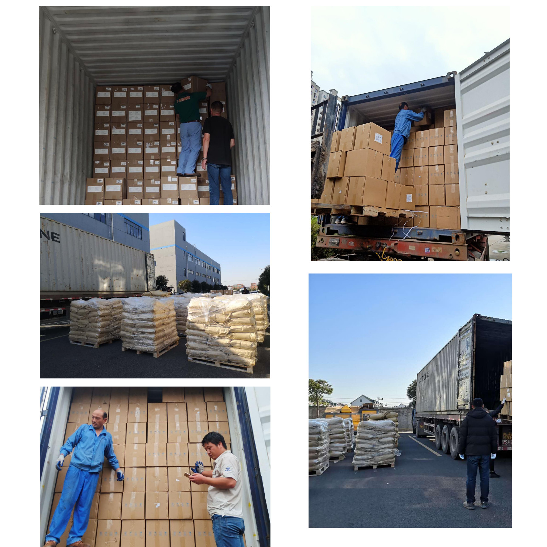 Factory Supply Pure Natural Acanthopanax Senticosus Extract 10/ 1 For Anti-Fatigue