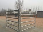 Used Cattle Yards For Sale From Budget To Extra Heavy Duty Cattle Panels