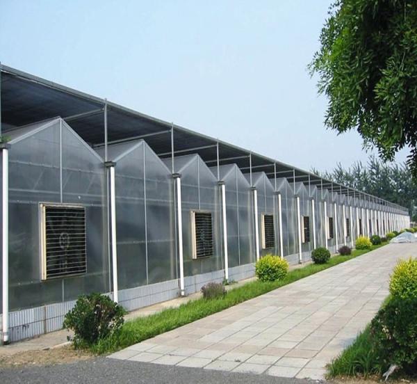 Buy cheap Snow Resistance PC Sheet Greenhouse Gutter Height 3.0-6.0m For Plant Vegetable from wholesalers