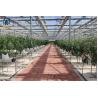 Buy cheap Large Agricultural Multi Span Glass Greenhouse Square Commercial Hydroponic Greenhouse from wholesalers