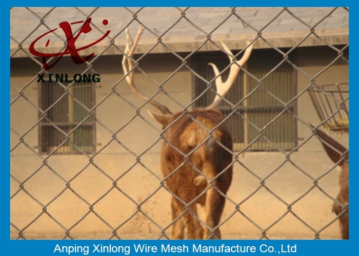 40*40mm Galvanized Dark Green Chain Link Roll Durable for Park and Courtyard