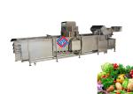 3.7KW Automatic Vegetable Washer / High Pressure Air Bubble Pepper Cleaning