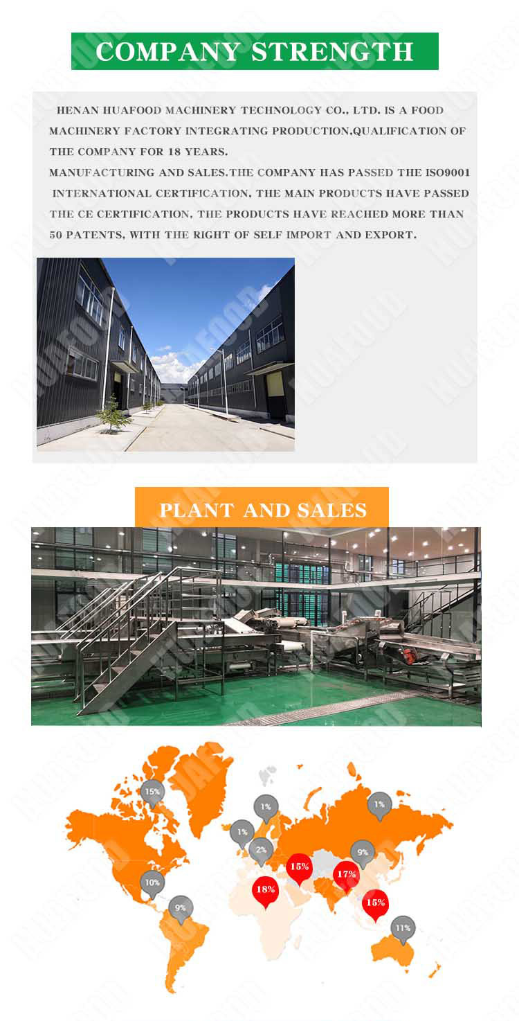 Commercial 1000kg/H Cabbage Vegetable Washing Machine
