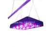 Buy cheap alibaba express tomato 80*5w aquaponics led grow lights alibaba usa ebay china website from wholesalers