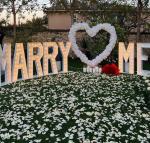 Buy cheap 5000 Hours Working Lifetime Marquee Light Up Letters Will You Marry Me Neon Sign from wholesalers
