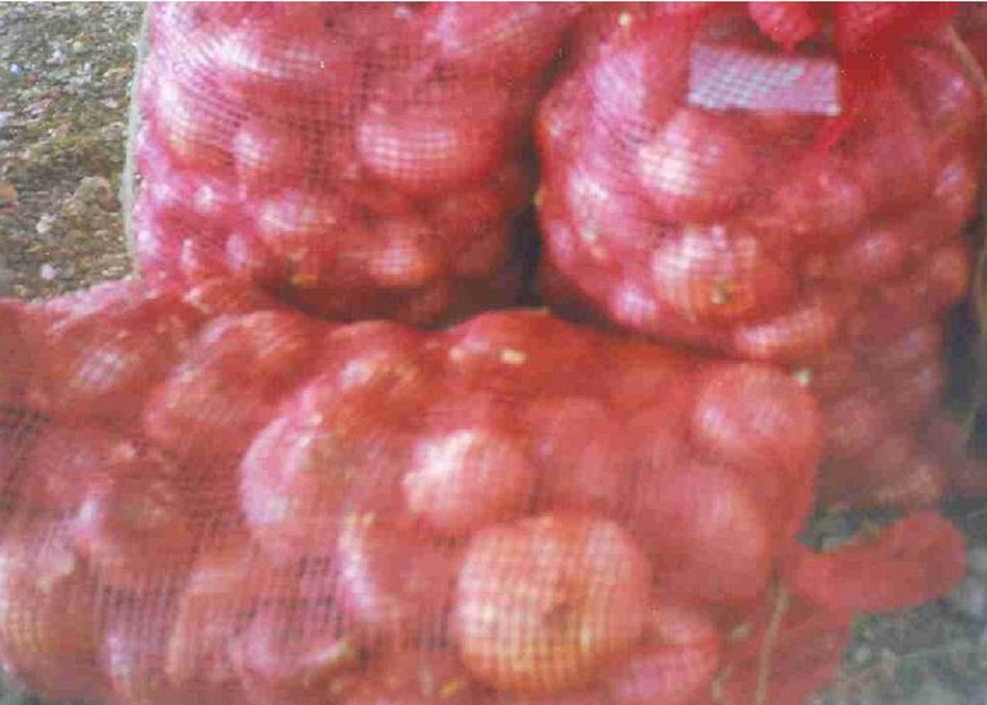 Plastic Polypropylene Woven Industrial Mesh Bags For Orange / Garlic , Tubular Shaped