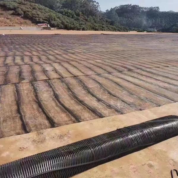Pp Uniaxial Plastic Geogrid Pe One-Way Geogrid Uniaxial Polyester Geogrid Gravle
