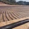 Buy cheap HDPE Uniaxial Plastic Geogrid For Soil Foundation Slope Protection from wholesalers
