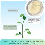 Enzymatic Acid Fertilizer Powder Amino Acid 80% Ph5-7 NPK 14-0-0 Plant