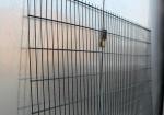 Construction Galvanised 630X2500 Double Wire Mesh Fence