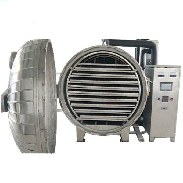 Professional Lyophilizer Drying Industrial Freeze Drying Machine 304/316