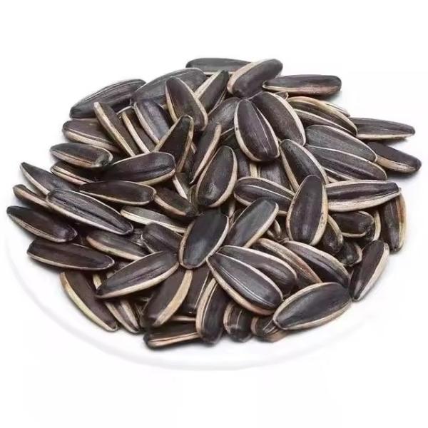 T6 Sunflower Seeds A Delicious and Healthy Snack for Busy B2B Professionals on