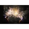 Buy cheap Liuyang Outdoor 150 Shots Consumer Cake Fireworks from wholesalers