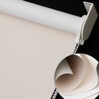 Buy cheap Anti UV Exterior Roll Down Blinds , Double Roller Blinds Bunnings product