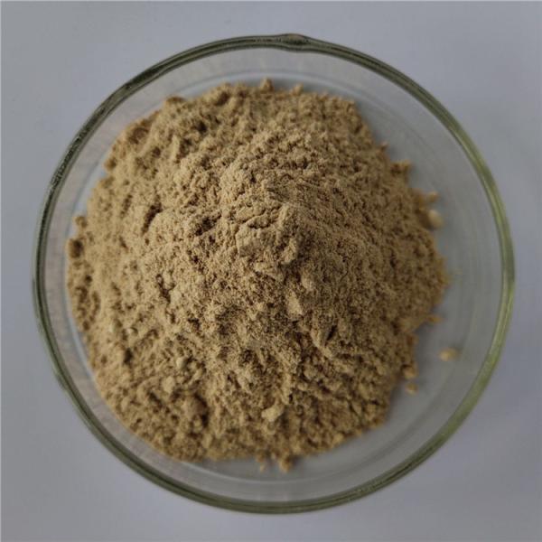 Buy cheap wholesale antioxidants softgel capsules graviola extract with best price from wholesalers