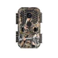 Buy cheap 4k Ip65 Waterproof Night Vision Wildlife Camera 30fps Outdoor 60M 38PC IR LED product