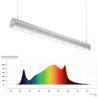 Buy cheap ETL IP67 300W Top Led Herb Grow Light , LED Grow Lamps For Indoor Plants from wholesalers