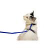 Buy cheap Small Pet Cat Harness Collar , Adjustable Nylon Cat Collar Easy To Wear from wholesalers