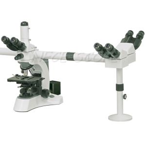 Buy cheap Binocular Multi Viewing Microscope EW10×/ 20 With Halogen Lamp from wholesalers