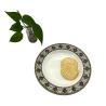 Buy cheap Ripple Melamine Dinnerware Plate Tasteless Round Camping Melamine Plate from wholesalers