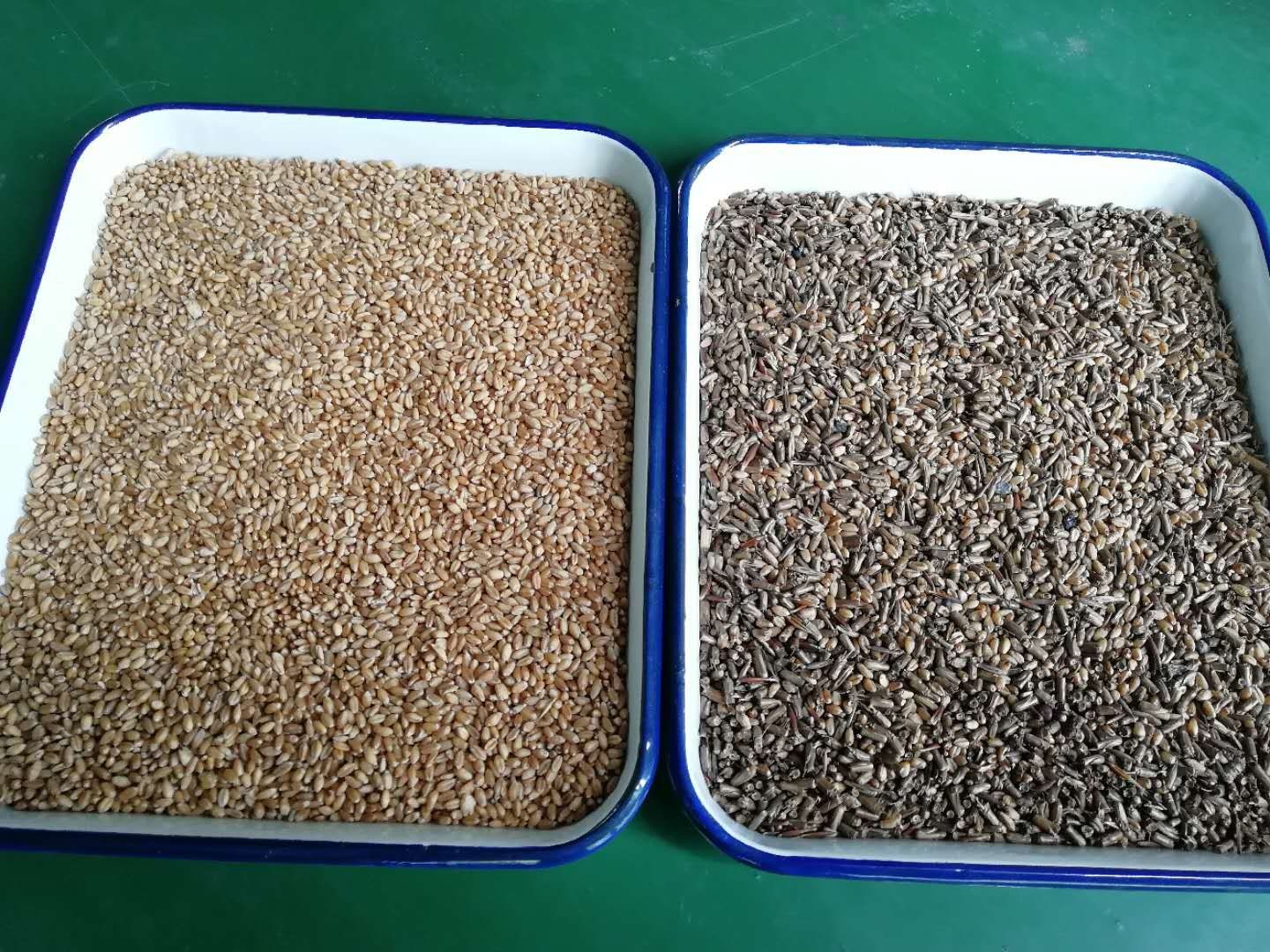 Multifunction Corn Quinoa Wheat Rice Color Sorter Automatic Computing