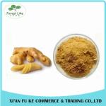 100% Natural Yellow Ginger Extract Powder 10 :1