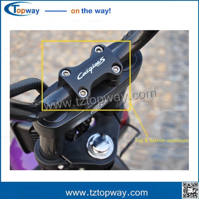 EEC Approval 2017 new citycoco 1000w fat tire halley adult electric scooter