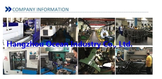 High Precision Automatic Transmission Gearbox Clutch Hedge Gear