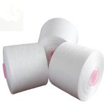40/2 Spun Polyester Yarn For Sewing Thread From China Manufacturer