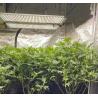 Buy cheap 480W Full Spectrum LED Grow Light Samsung LM301B Quantum Board from wholesalers