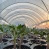 Buy cheap Large Affordable Hydroponic Tunnel Greenhouse Solution Package Gross Weight 20.000kg from wholesalers