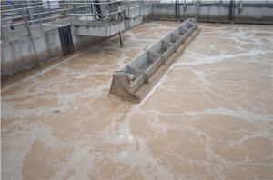 Wholesale Sequence Batch Reactor Food Processing SBR Wastewater Treatment from china suppliers