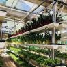 Buy cheap High Light Transmission Glass Hydroponic Greenhouse for Commercial Flower Growing US from wholesalers