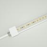 Buy cheap 7mm Height Neon LED Strip Lights 24VDC RGB RGBW Color DMX SPI 1400LM/M from wholesalers