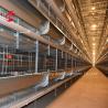 Buy cheap Hot Sale Chicken Battery Cage Brooding cage Broiler cage Poultry Farm In Africa Mia from wholesalers