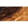 Buy cheap 1B 4 27 Curly Ombre Virgin Hair Body Wave Extensions With Closure from wholesalers