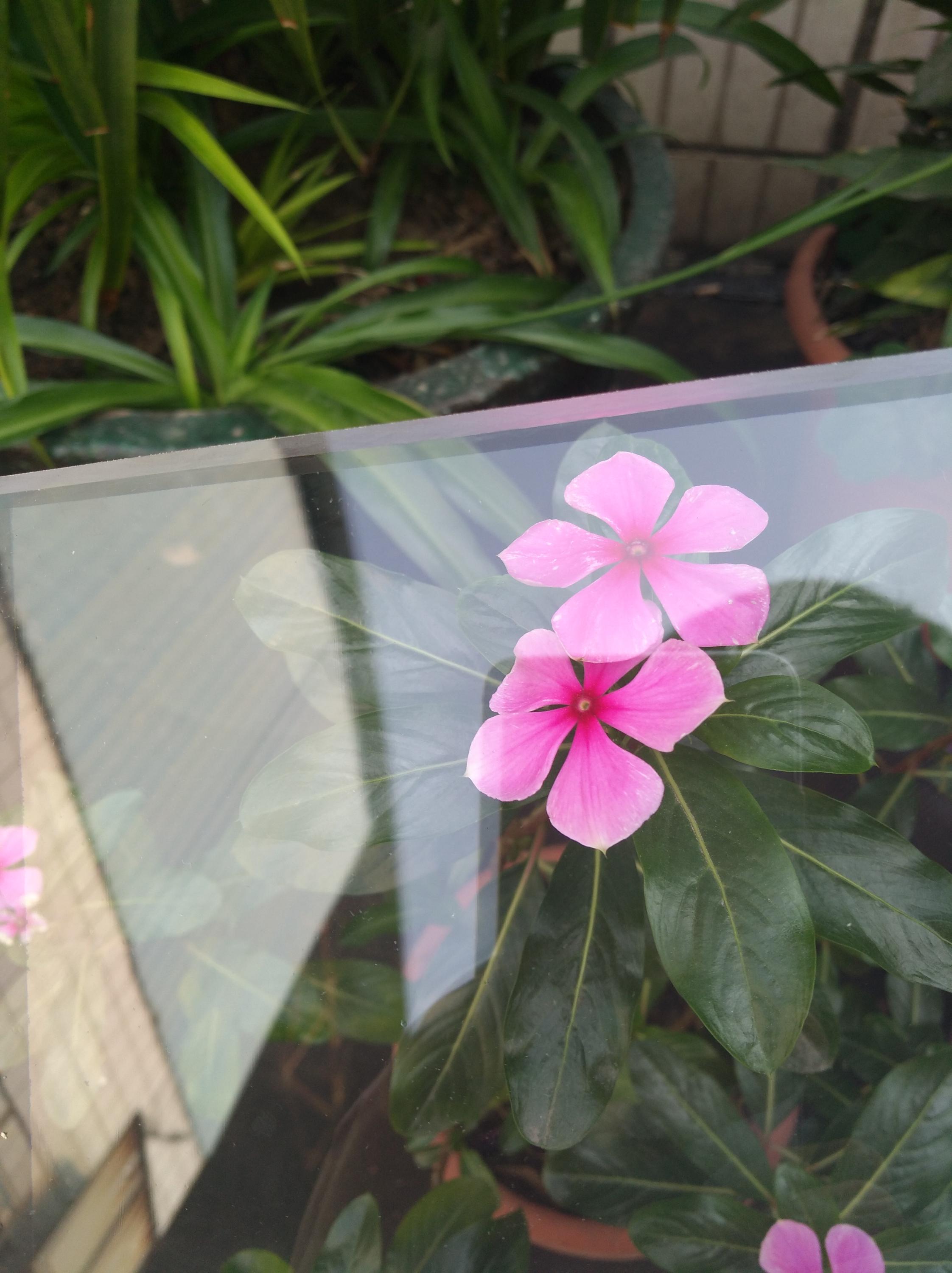 120cm *150cm Polycarbonate Hollow Sheet Canopy for Windows Weather Resistant Material