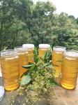 Pure Raw Honey Nature Fruitwood Flower Honey No Addictive Bright Yellow Color