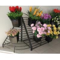 Buy cheap Metal Flower Display Rack , Flower Shop Display Rack Customized Color product