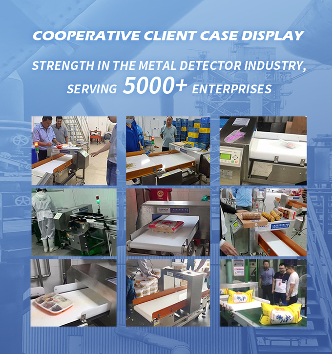 High Precision Food Metal Detector Machine High Sensitivity Auto Reject CE ISO Certified Manufacturer