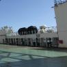 Buy cheap CCS Pneumatic Marine Fender For Boat High Strength Natant Rubber Ballon from wholesalers